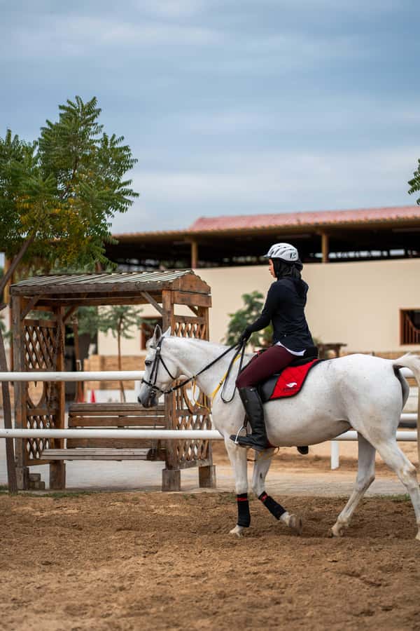 1 Hour Horseback Dubai Desert Park Ride - Riding through Mushrif Park’s ghaf trees and dunes
