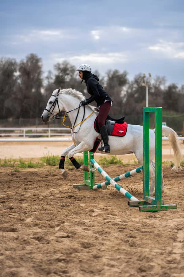 1 Hour Horseback Dubai Desert Park Ride - The small group makes a practical difference