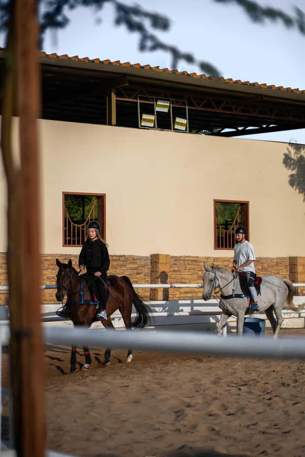 1 Hour Horseback Dubai Desert Park Ride - Who will enjoy this desert ride most