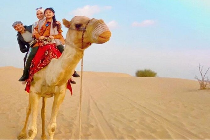 2-Day Abu Dhabi and Dubai City Tour with Desert Safari - Who should book this two-day plan?