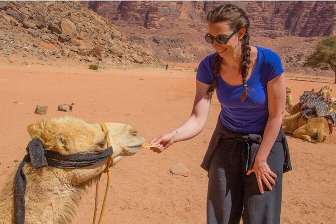 2 Day private tour from Amman to Petra_ Wadi Rum_ Aqaba Dead Sea - Who should book this fast Jordan itinerary