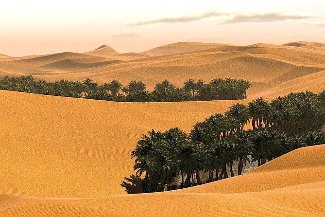 2 Days and 1 Night Private Wahiba Sands Desert Tour - Ibra, the Morning After the Desert