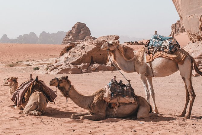 2 Days Tour | Petra, Wadi Rum & Dead Sea | Accommodation included - Wadi Rum is best seen from the back of a Jeep