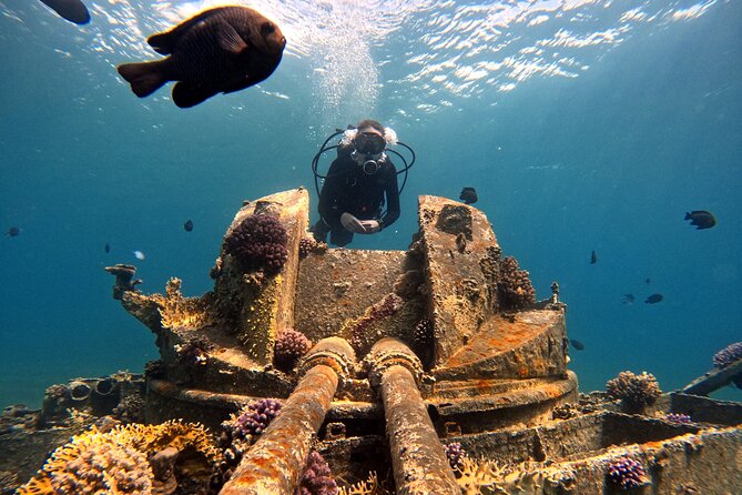 2-Hour Private Scuba Experience in Aqaba - Photos and videos give you something to take home