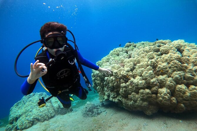 3-Day Open Water Scuba Diving Course in Aqaba - Day two: five confined-water sessions