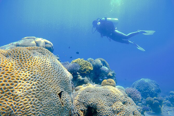 3-Day Open Water Scuba Diving Course in Aqaba - The instructors and the human side of the course