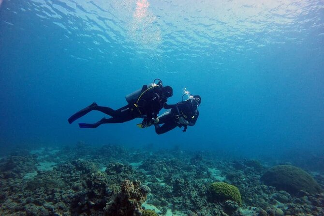 3-Day Open Water Scuba Diving Course in Aqaba - How much value do you get for $500?