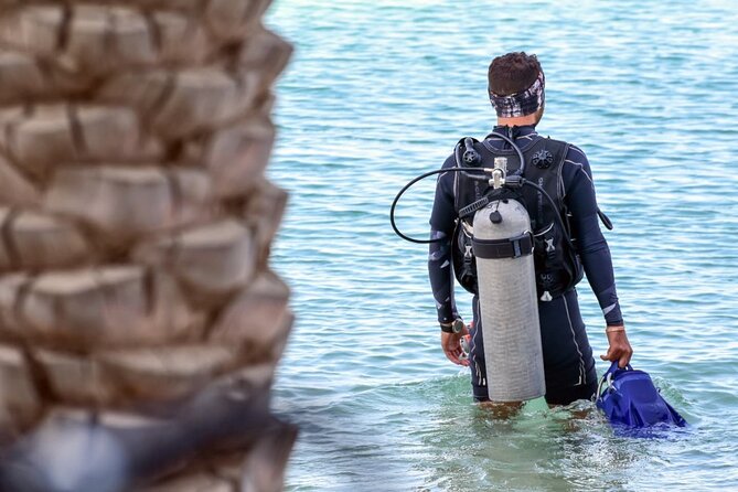 3-Day PADI Open Water Diving Course in Dubai - E-learning is the main extra cost