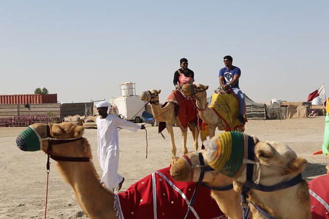 4 Hour Desert Safari, Camel Ride & Inland Sea Beach - Camels, falcons, and a quick taste of desert life