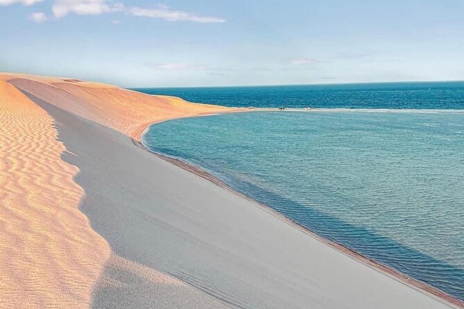 4hr Desert Safari: Sunset,Sunrise,Camel,Sand boarding,Inland Sea - Small details that will improve the day