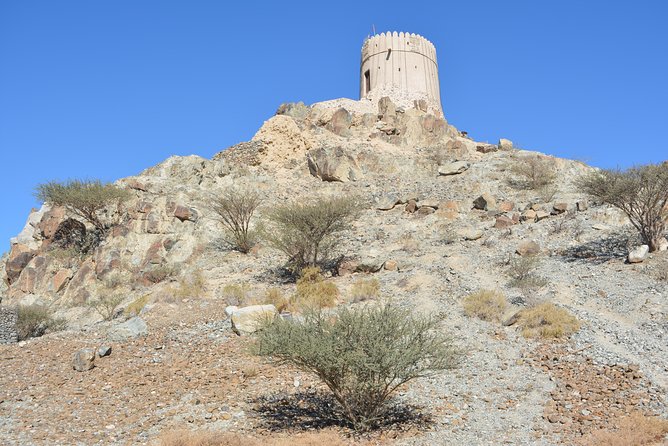 4x4 Hatta Safari to Fossil Rock & Honey Bee Garden visit with Breakfast - How the timing affects the experience
