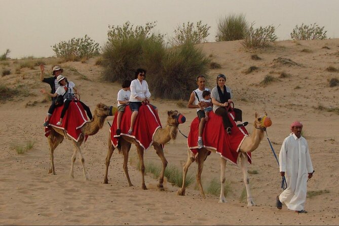 4x4 Self-Drive Quad Bike Safari with Camel Riding - Is $160 good value?