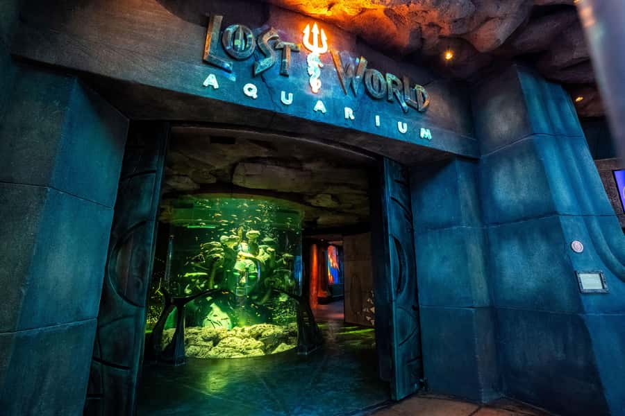 5-Day Pass: Hop-On Hop-Off, Lost World Aquarium, Dubai Frame - Key points to know before you book