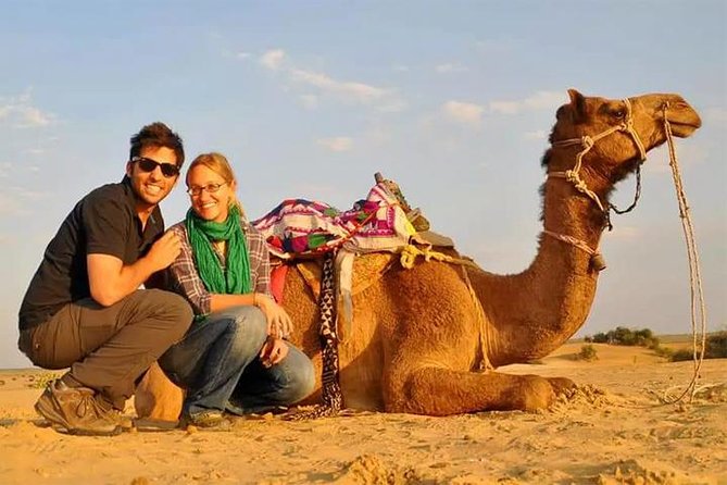 6-Hour Dubai Desert Dinner Safari with Dune Bashing & Camel Ride - From Dubai streets to open sand