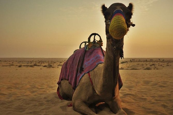 7-hour Small Group 4x4 Desert Safari Tour with Buffet Dinner in Dubai - The camp turns action into an evening program