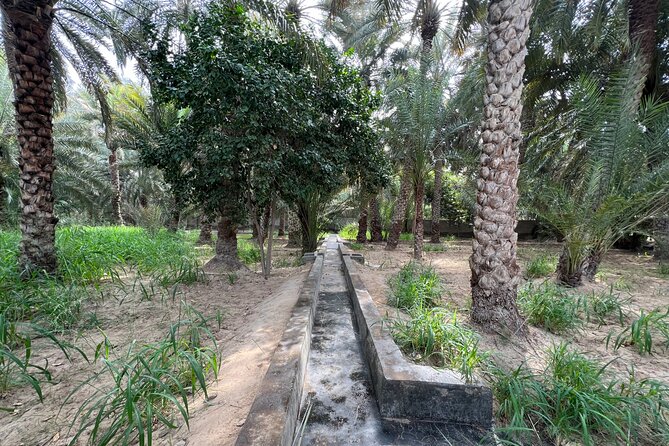 8 Hours Al Ain City Tour without lunch - Slowing down under the palms at Al Ain Oasis