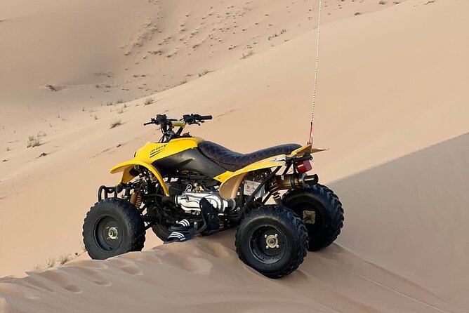 Abu Dhabi: 4-Hour Morning Safari with Camel Ride & Sand boarding - A compact Abu Dhabi desert safari for a free morning
