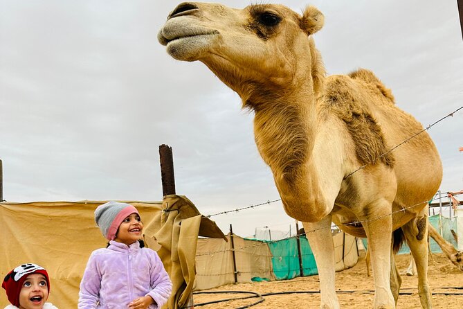 Abu Dhabi: 4x4 Desert Safari and Sandboarding. - One hour of dune bashing, with room for photos