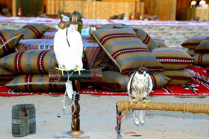 Abu Dhabi Afternoon Desert Safari and BBQ Dinner - Leaving Abu Dhabi for the Al Khatim Desert