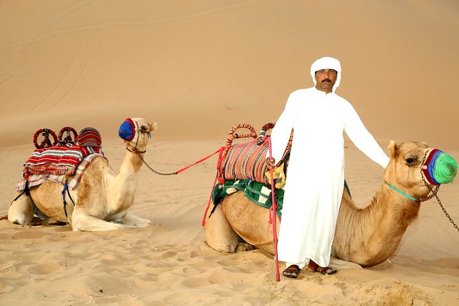 Abu Dhabi Afternoon Desert Safari and BBQ Dinner - The high dune sunset stop