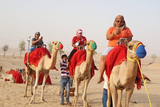 Abu Dhabi city tour & desert safari from Dubai - Sunset, dinner, and the desert camp
