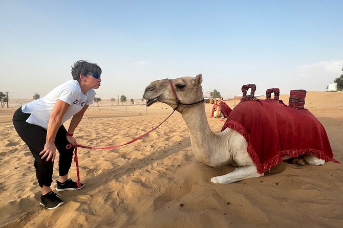 Abu Dhabi Desert Safari Tour with Shows & Buffet Dinner - Al Ajban, dune bashing, and sandboarding