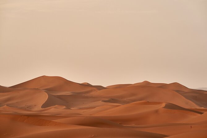 Abu Dhabi Desert Safari Tour with Shows & Buffet Dinner - Belly dancing, Tanoura, and fire performance