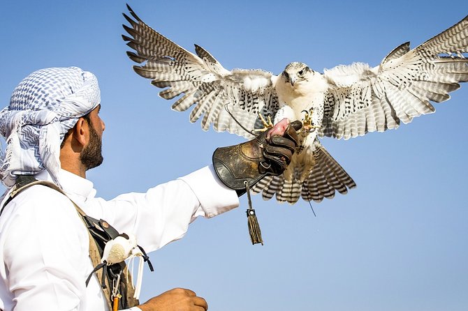 Abu Dhabi: Desert Safari with BBQ, Camel Ride & Sandboarding - The Bedouin-style camp at dusk