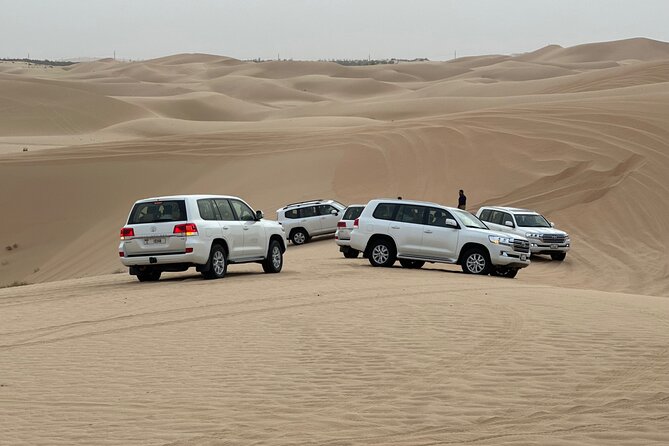 Abu Dhabi Desert Safari With BBQ Dinner & Live Shows - The 4WD ride across Al Khatim’s dunes