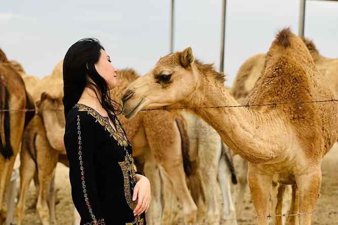 Abu Dhabi Desert Safari With BBQ Dinner & Live Shows - What $60 buys you