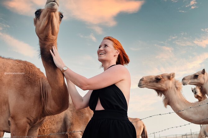 Abu Dhabi Evening Desert Safari BBQ, Camel Ride, Entertainments - What the $72.98 price really covers