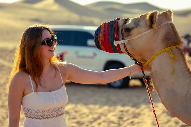 Abu Dhabi Evening Desert Safari - Private car Dune bashing & BBQ - What $495 means for your group