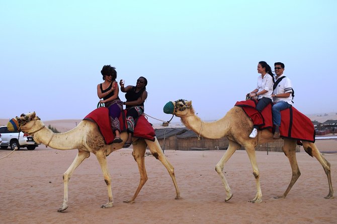 Abu Dhabi Evening Desert Safari with BBQ Dinner and all Camp Activities - The afternoon begins with a shared 4x4 pickup