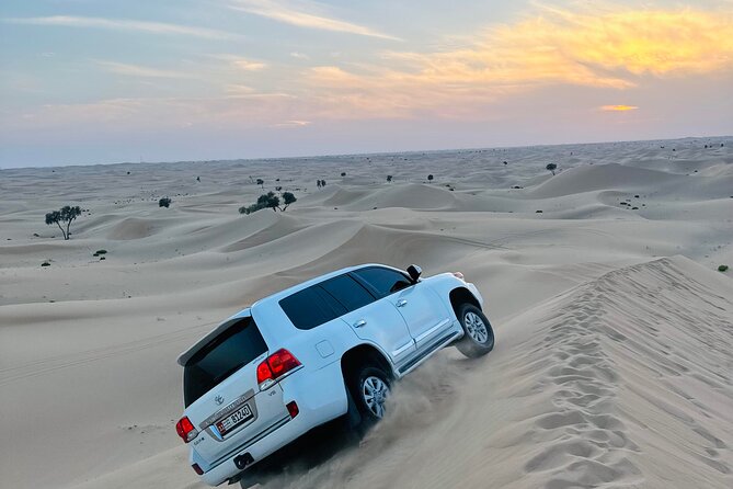 Abu Dhabi: Evening Desert Safari with Camel Ride, BBQ & Live Show - Dune bashing: the fast part of the afternoon