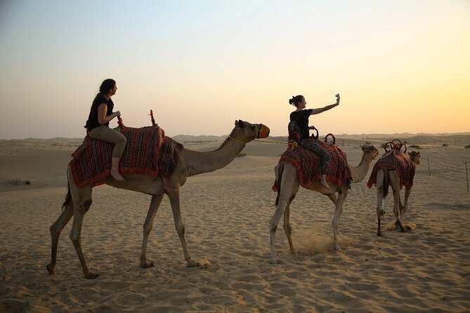 Abu Dhabi Half Day Desert Safari - Camel farm visit and a first ride