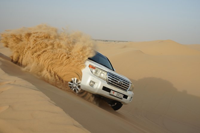 Abu Dhabi Half Day Desert Safari - What the $74 price really buys