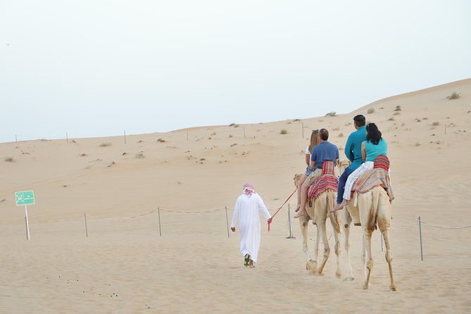 Abu Dhabi Morning Desert Safari - A quick desert outing from Abu Dhabi