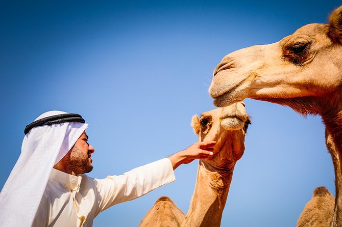 Abu Dhabi: Morning Desert Safari with Camels and Sandboarding - Dune bashing: the main event