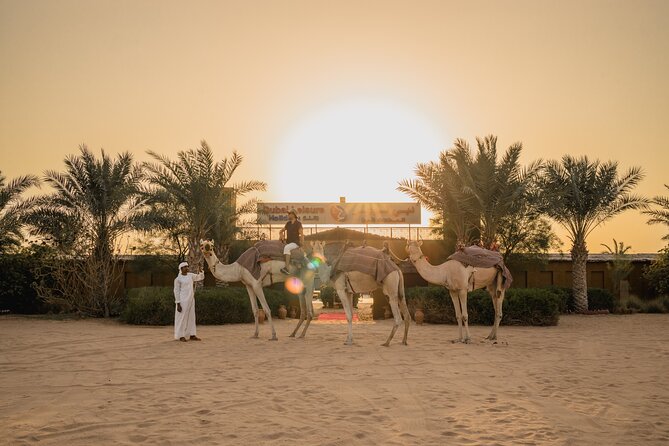 Adrenaline combo : Desert activities + ATV or Quad bike option - The short camel ride
