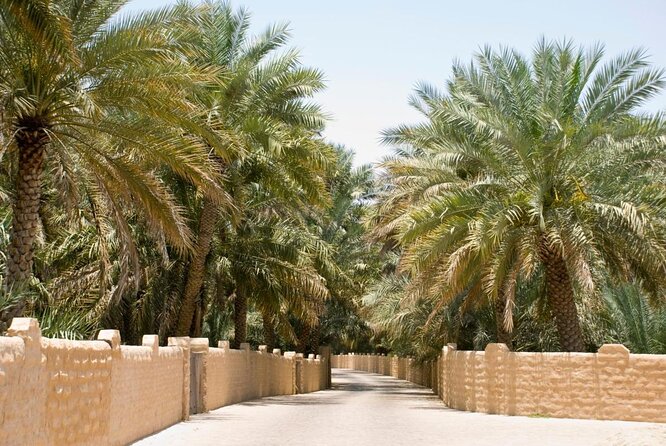 Al Ain City Sightseeing tour with Lunch from Dubai - The camel market and a closer look at local trade