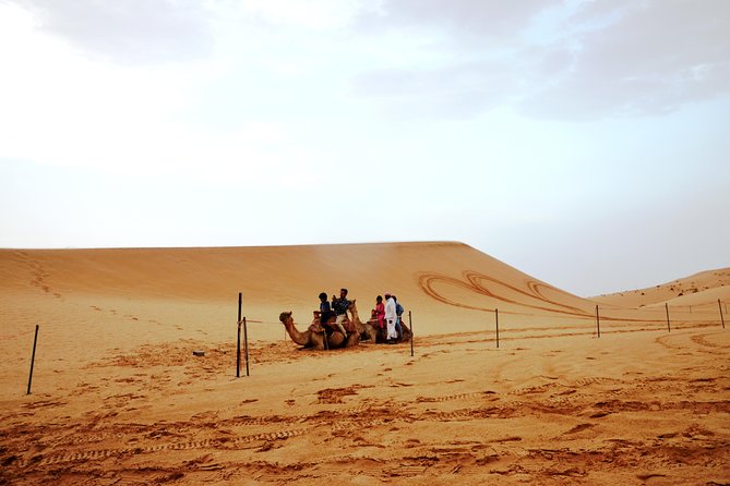 Al Ain Desert Safari with Buffet Dinner - Buffet dinner and evening shows