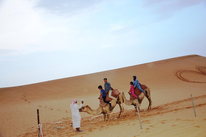 Al Ain Desert Safari with Buffet Dinner - What the $89 price really covers