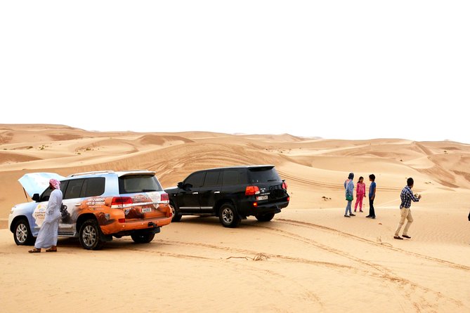 Al Ain Desert Safari with Buffet Dinner - The 4WD ride over the dunes