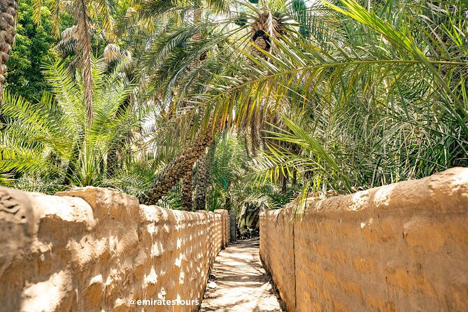 Al Ain Full Day Trip from Abu Dhabi with Lunch - Sheikh Zayed Palace Museum, with an important change