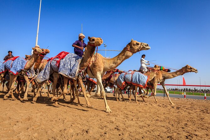 Al Ain Tour from Abu Dhabi - Why Al Ain makes a good change from Abu Dhabi