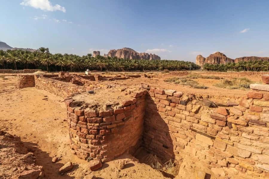 Al Ula: Dadan and Jabal Ikmah Tombs Guided Tour - What the guide can add