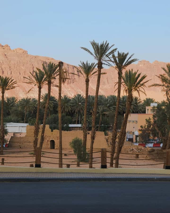 AlUla: Discover AlUla Like a Local Guided Tour - AlUla Old Town and local heritage
