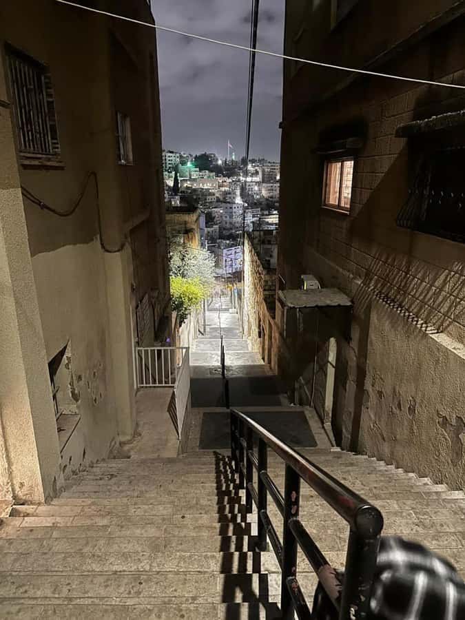 Amman: Culture, History, Tradition & Food Day or Night Tour - Key points at a glance