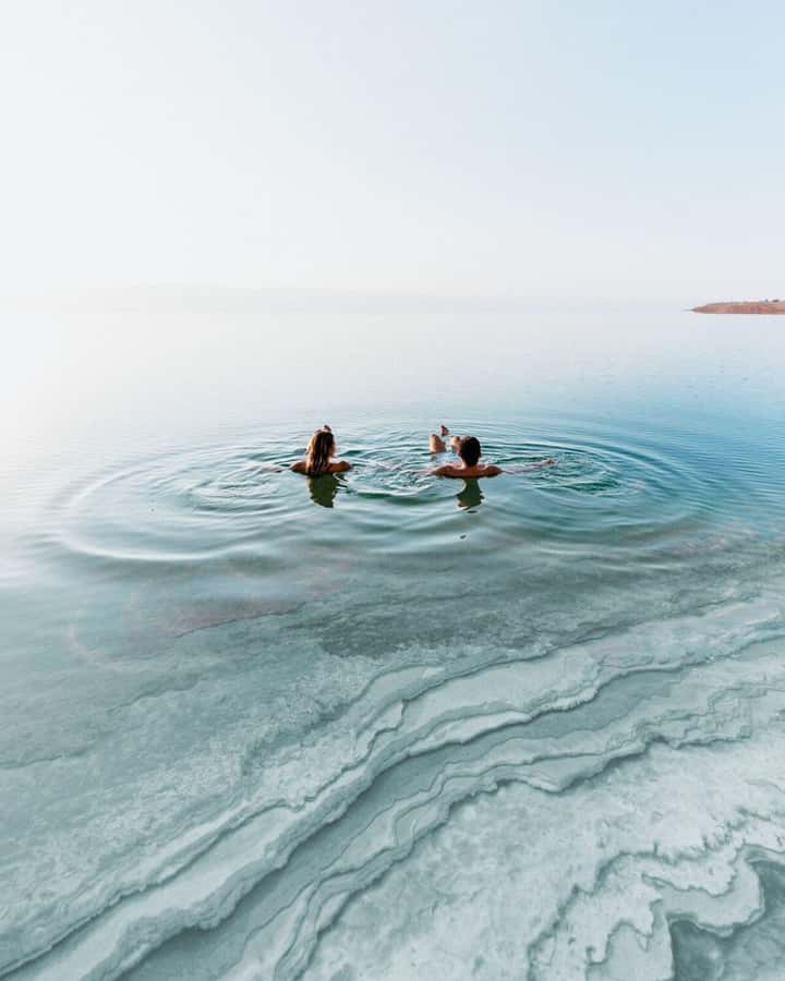 Amman: Dead Sea Day Tour with Optional Entry Fees and Lunch - The drivers are a major part of the day