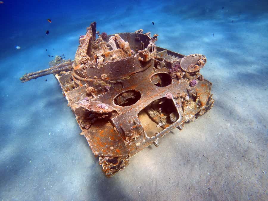 Aqaba: Private Red Sea Diving for Beginner or Experienced - Aqaba’s Red Sea shore, with reef life close by